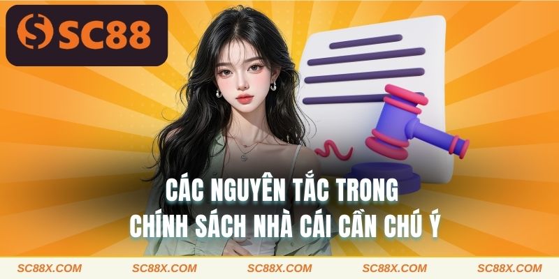 Các nguyên tắc trong chính sách nhà cái cần chú ý