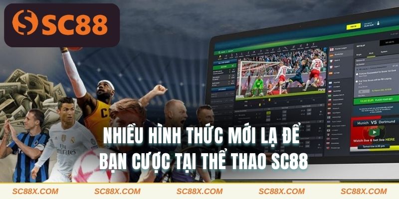 Nhiều hình thức mới lạ để bạn cược tại thể thao SC88