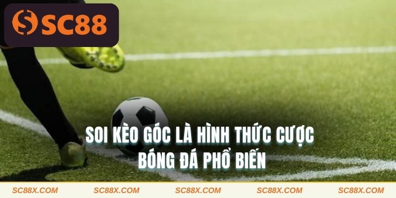 Soi kèo góc là hình thức cược bóng đá phổ biến